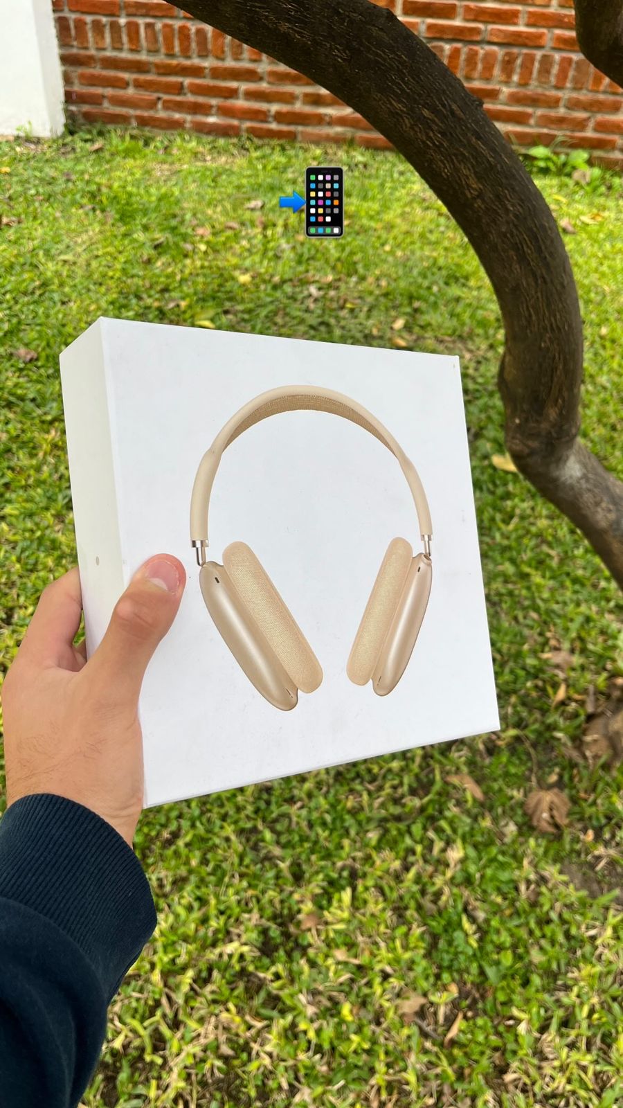 AirPods Max